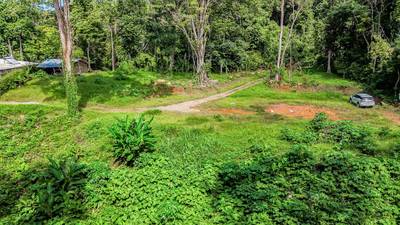 Wonderful Jungle Lot with a Crystal Mountain River Border in Ojochal image 1