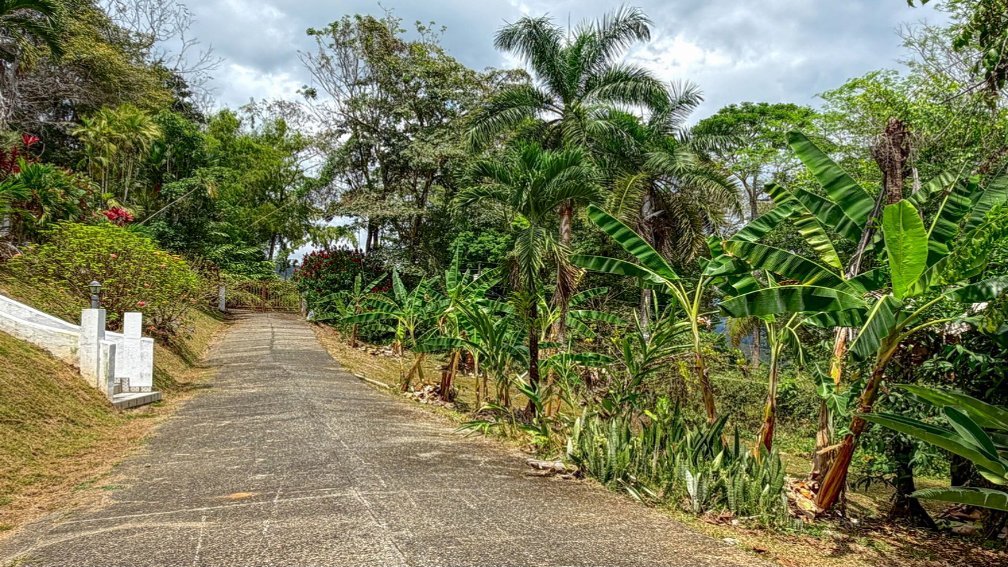 3.64 ACRES – 3 Bedroom Home With Expansive Ocean Views, Multiple Areas to Build, Public Road With Commercial Potential, 10min to the Beach!! selected