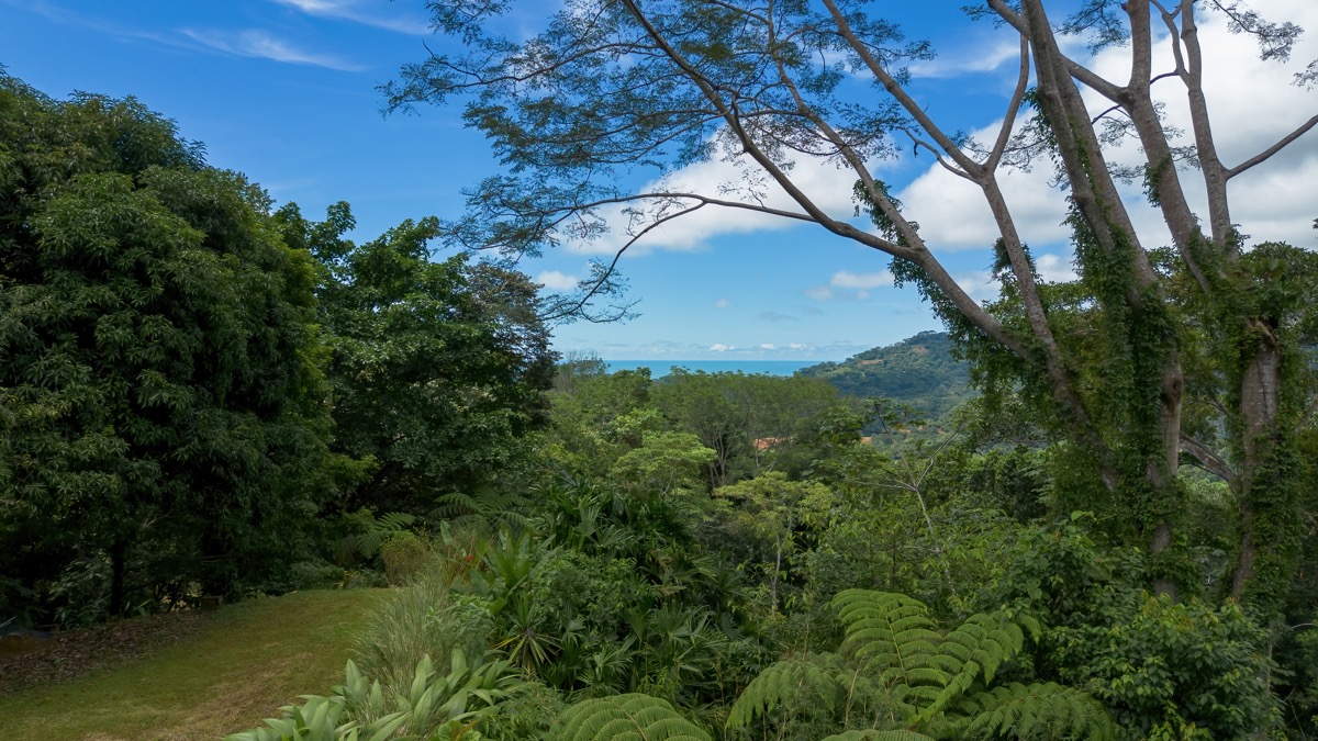 Tres Ríos Estate with Ocean Views, Move-In-Ready Casita, and Build-Ready Land selected