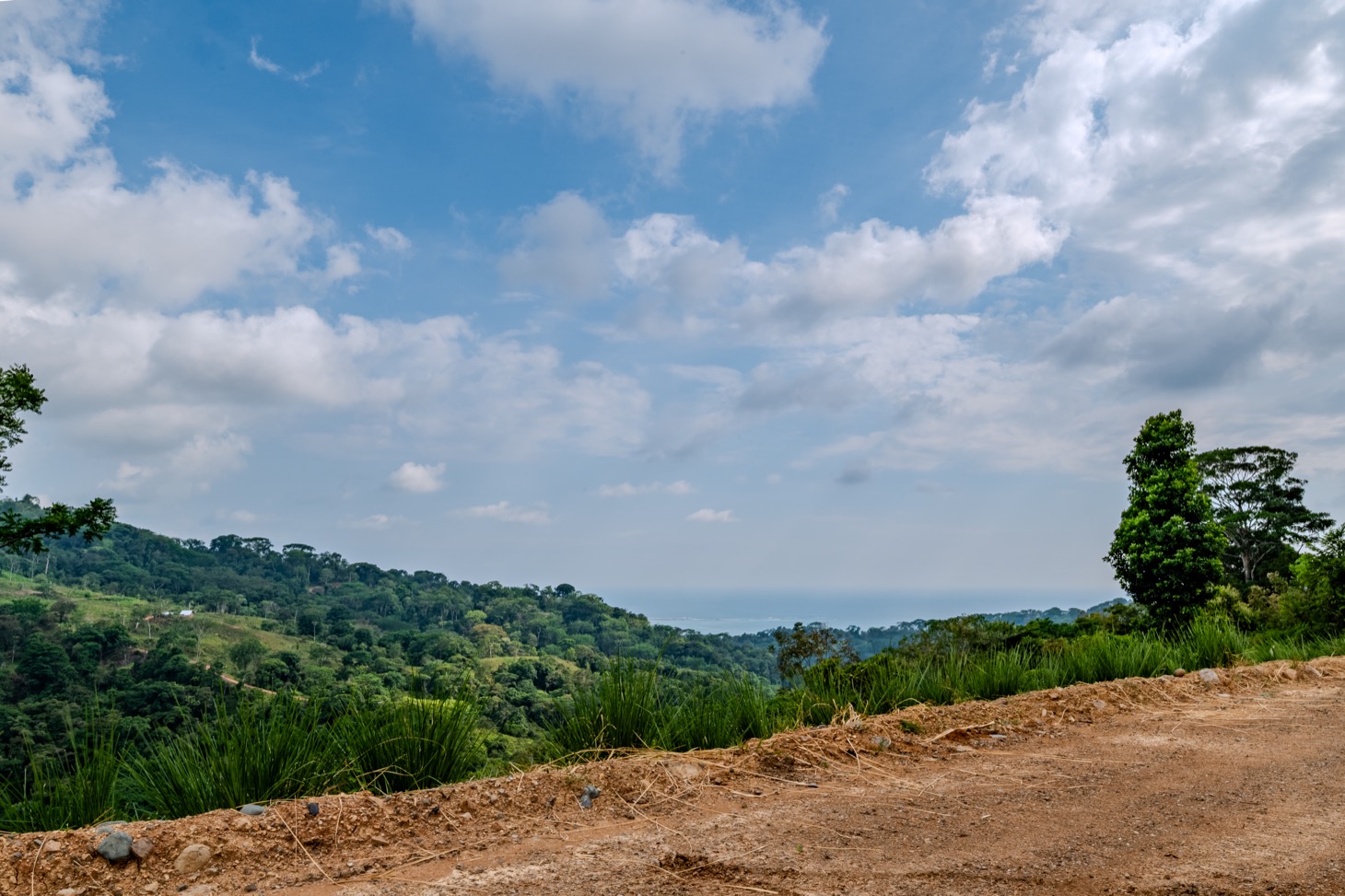 2.3-Acre Ocean View Homesite with Whale Tail Views in San Josecito selected