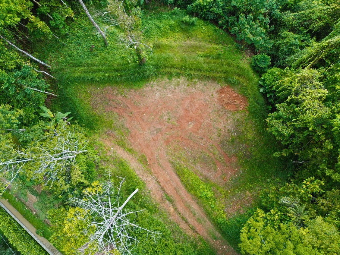Build-Ready Ocean View Homesite Above Uvita – Iconic Ballena Rock Views & Prime Hillside Setting selected