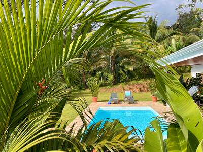 Brand New Modern Home in a Private Tropical Setting - Tres Rios image 3