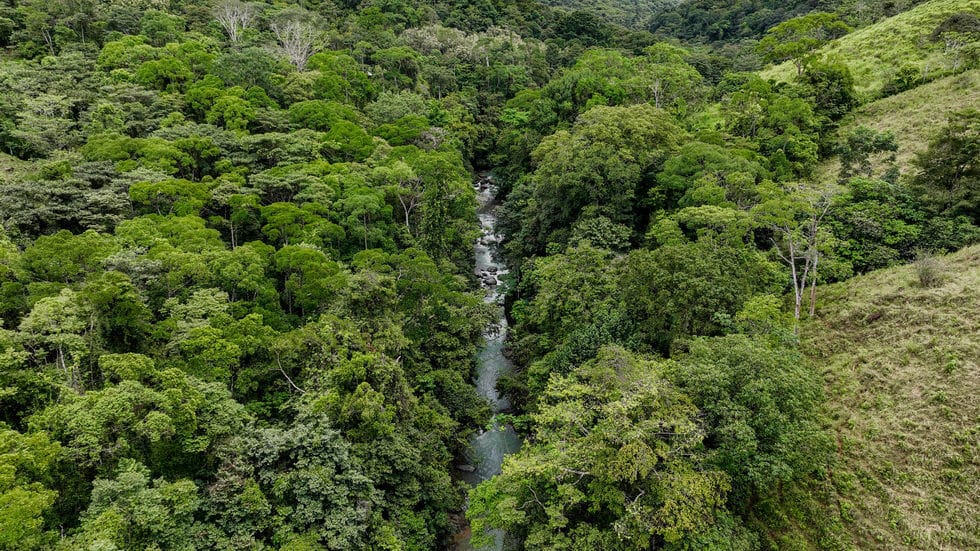 Beautiful 72 Acre Farm In Uvita With Waterfalls And Ocean Views selected