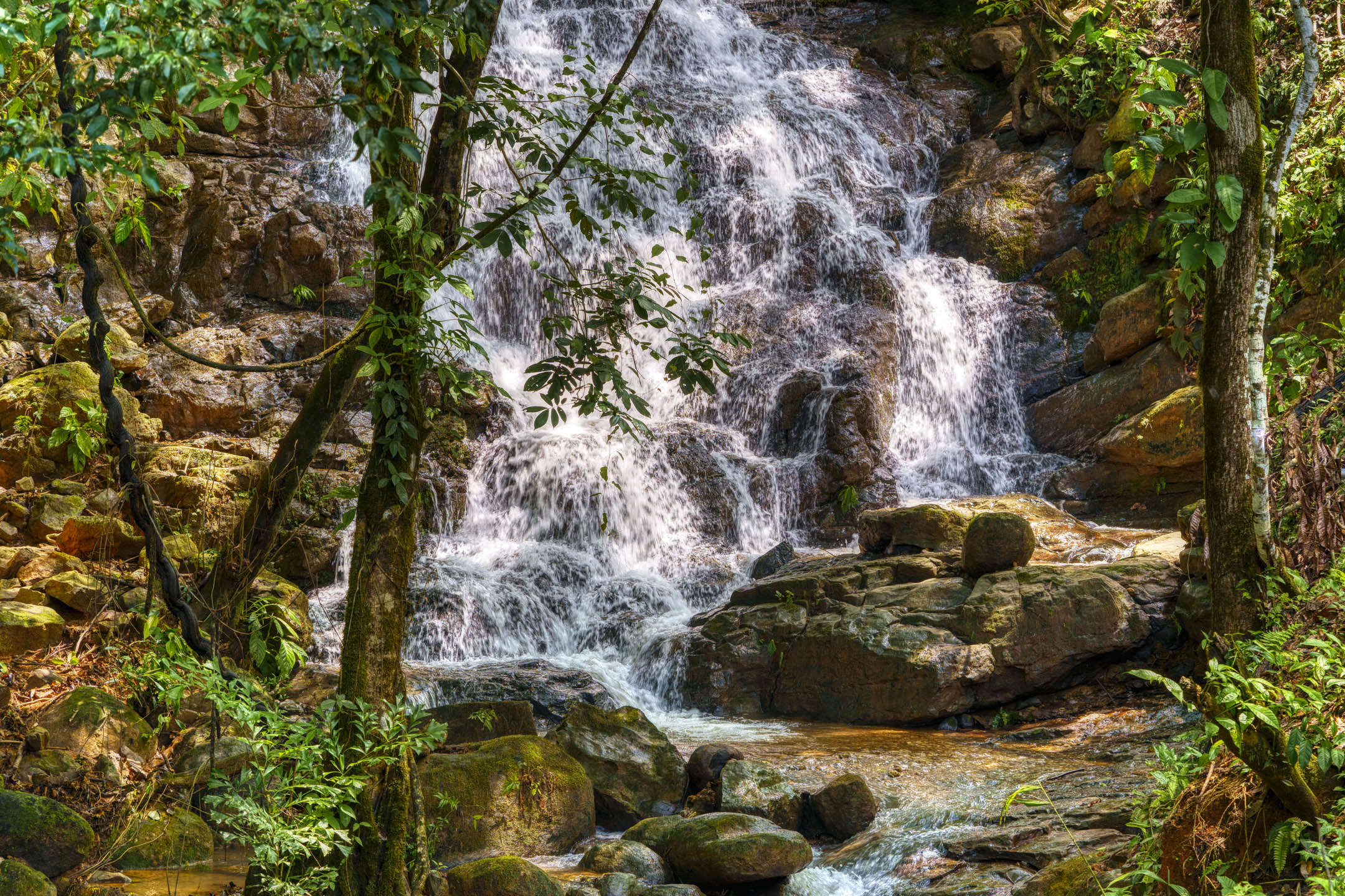 26 Acres With Ocean, Mountain & Waterfall View In Platanillo selected