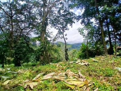 1.14-Acre Ocean View Estate Lot | Phase 5, Ojochal image 4