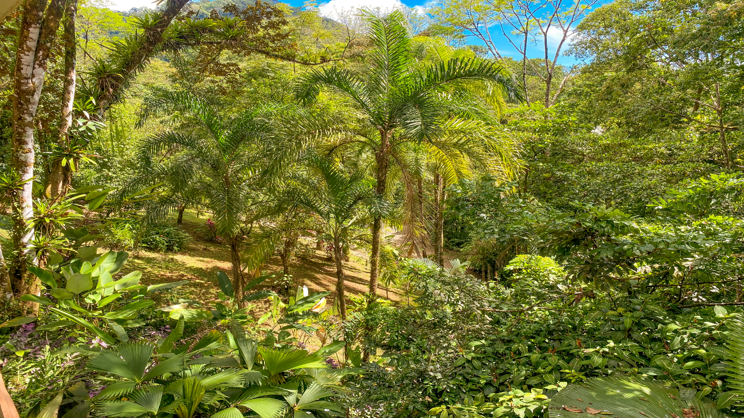 3 Bedroom Rainforest Home in Ojochal With River & Waterfall | 3.5 Acres Private selected