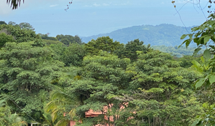 2.9 ACRES – Tons of Fruit Trees, 3 Bedroom Tico Home Plus Bodega In Tinamastes selected