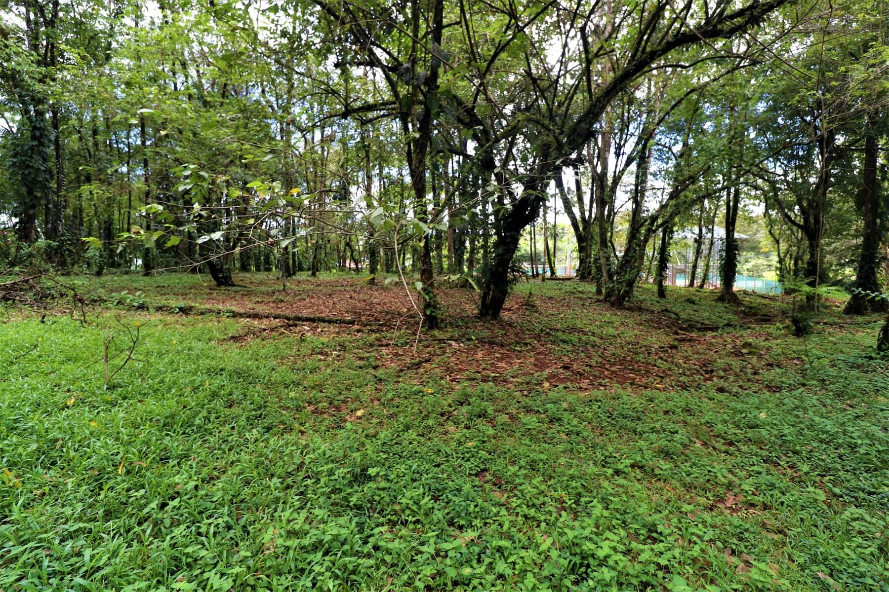 Prime Commercial Property In Uvita selected
