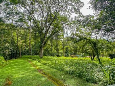 Private Jungle-Border Lot in Ojochal – Ready to Build, Gated Community, River Access image 2