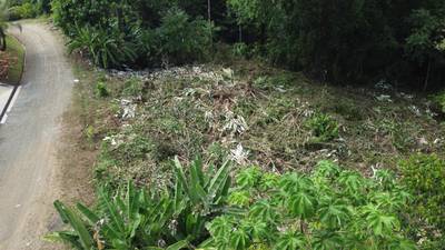 1-Acre Ready-to-Build Jungle Lot in Ojochal – A Private Oasis in Phase 8 image 1