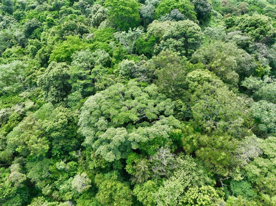 61.78 Acres of Oceanview Bliss with Private Waterfall in Tres Rios selected