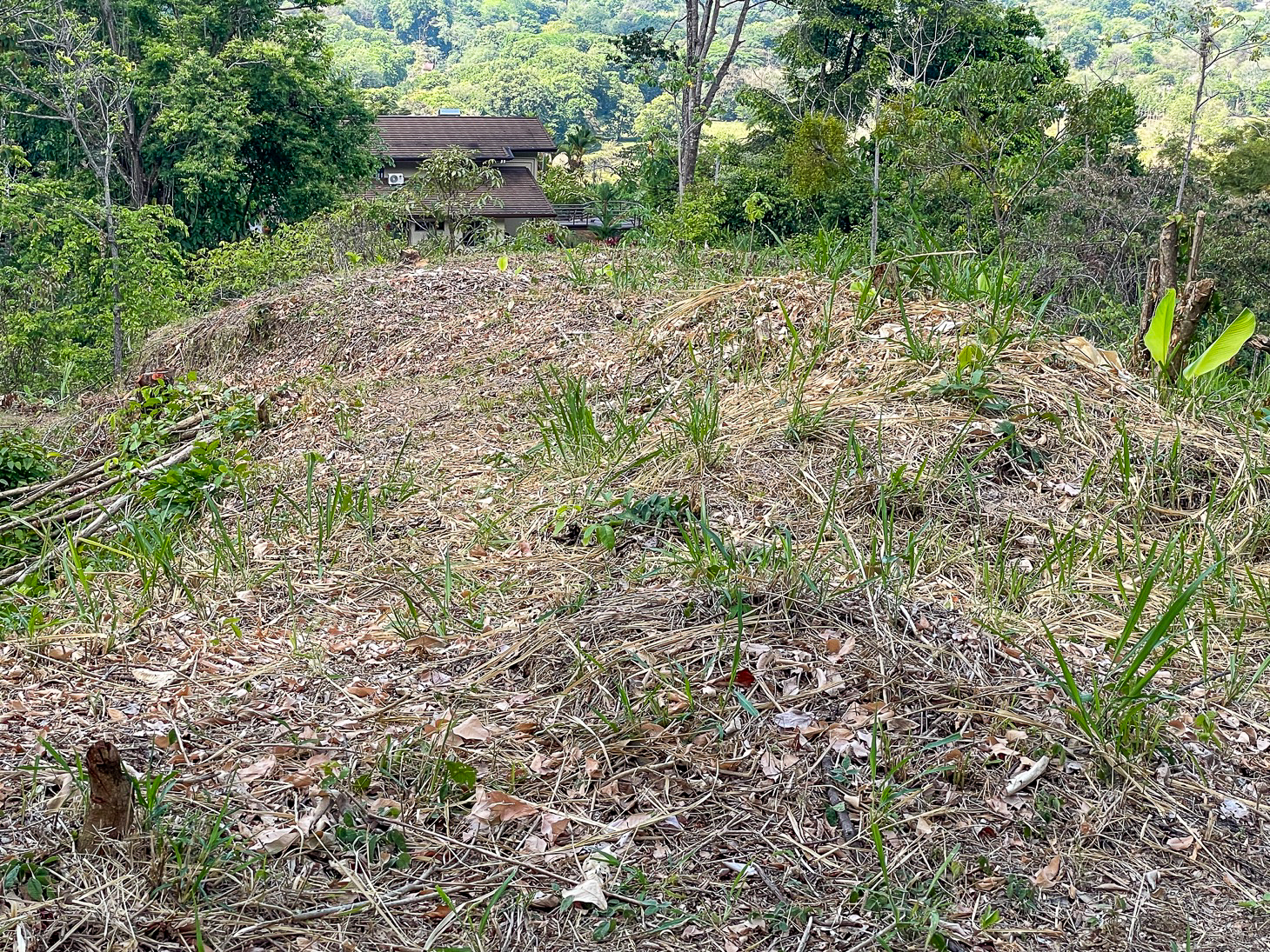 Excellent Dream Home Or Mini-Development Opportunity: 2.2-Acre Ocean View Property in Ojochal, Costa Rica selected