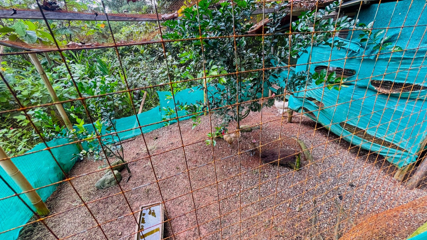 Two Homes on 1.55 Acres with Ocean & Mountain Views – Plus Room to Build! selected