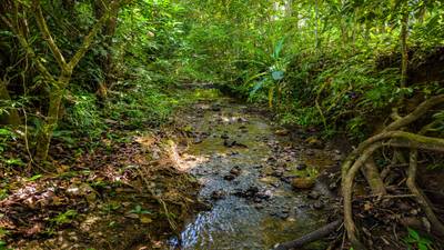 Home Near Downtown Uvita with Private Forest and Creek image 3