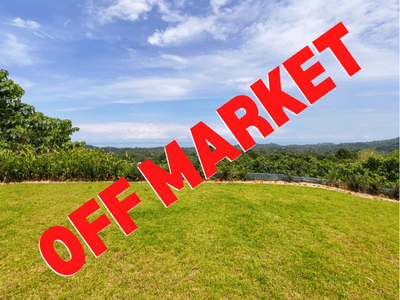 Exceptional Ocean View Lot in Ojochal - Landscaped & Ready to Build image 1