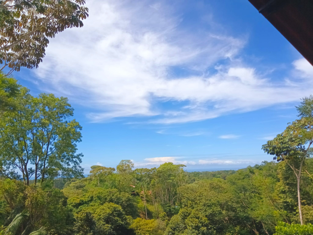 Multi-Home Income Estate Near Marino Ballena National Park selected