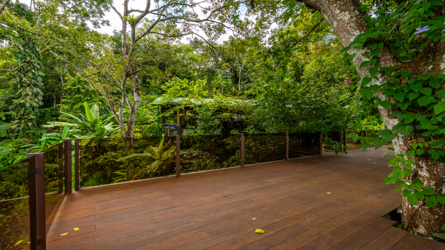 Where the Journey Begins | Private Jungle Estate at Nauyaca Waterfalls selected