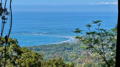 Unique Opportunity, Panoramic Ocean Views of the Whale's Tail Beach! image 5