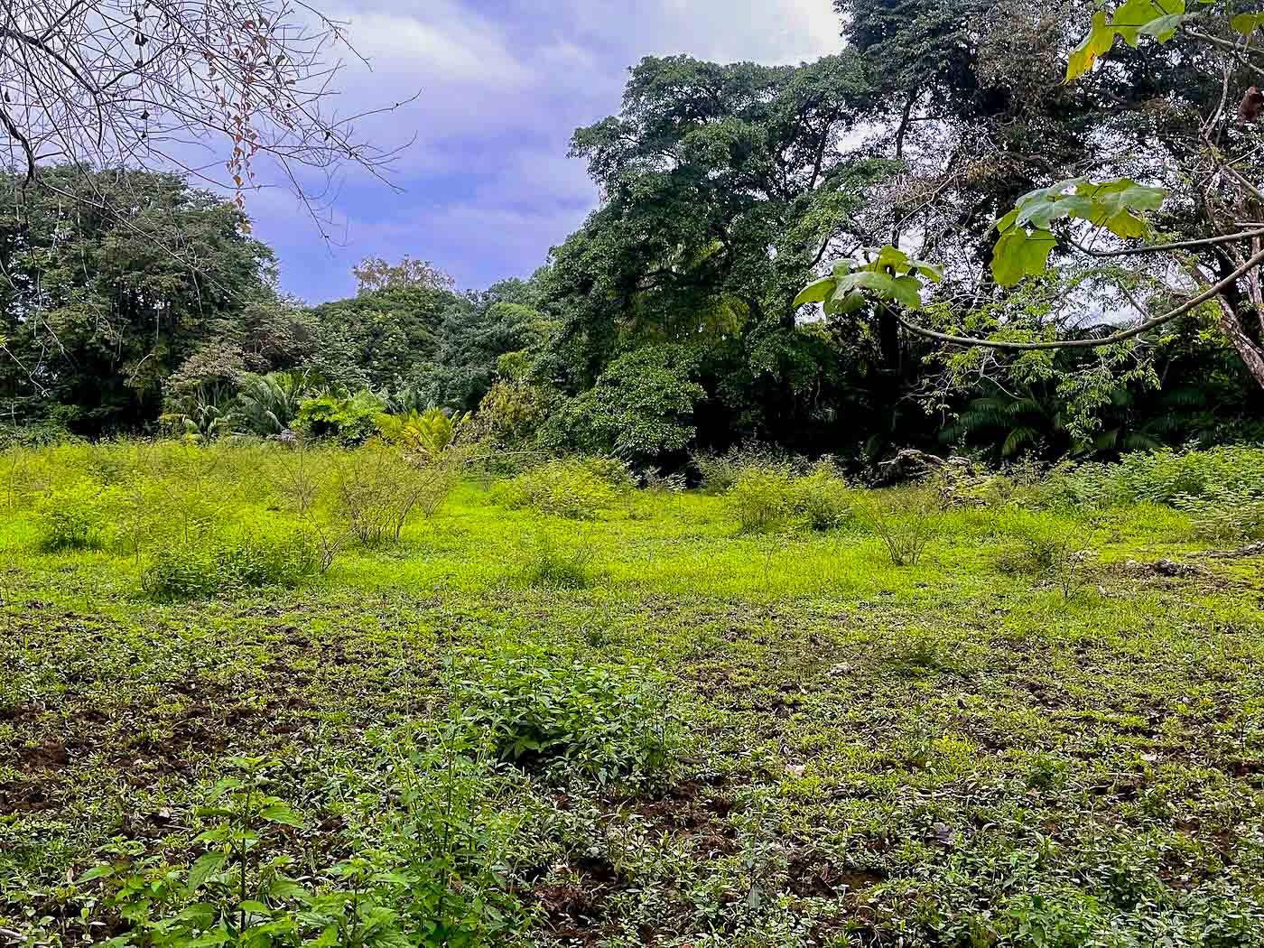 Rare Titled Beachside Development Opportunity Steps from Playa Chaman selected