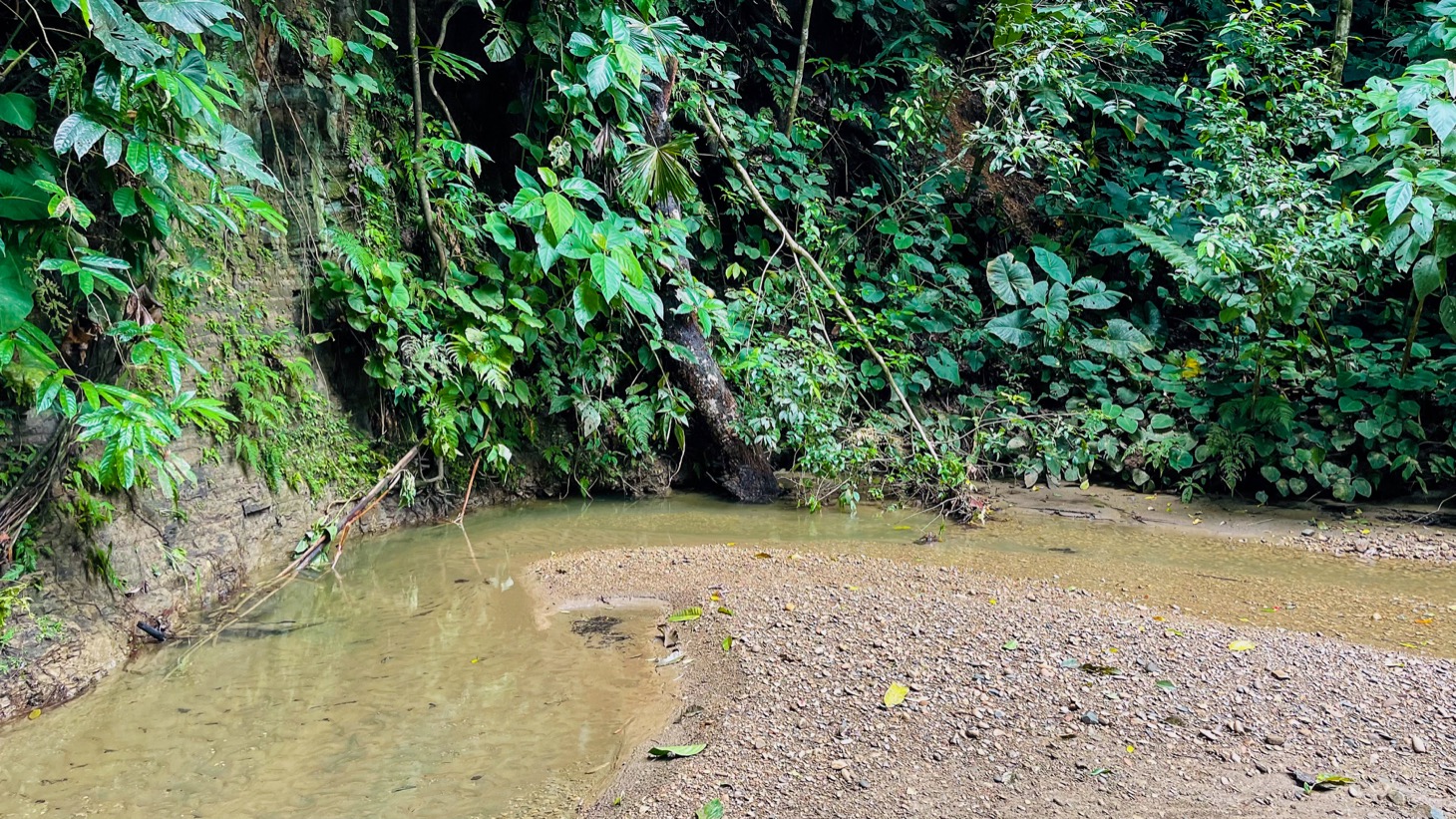 14-Acre Eco-Haven with Ocean View & Riverfront, Minutes from Beaches and National Park selected