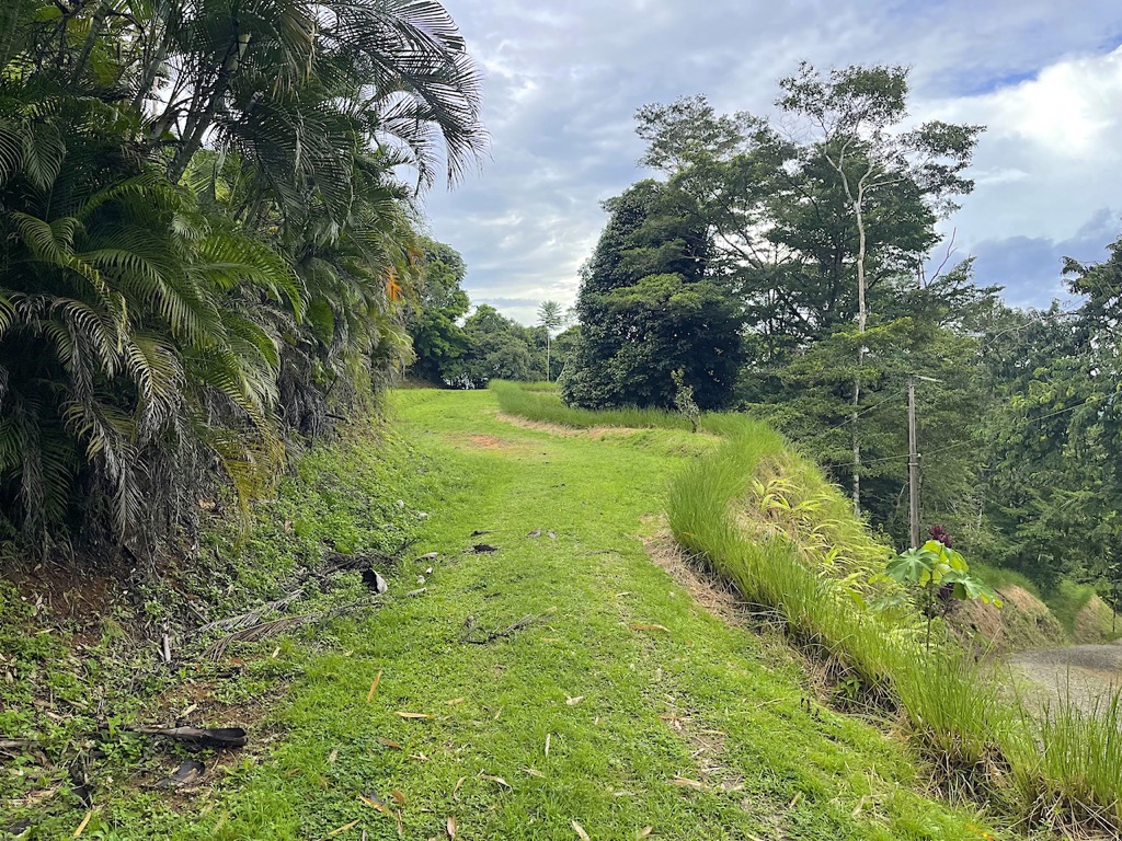 Spectacular Mountain & Ocean View Property in Cacao Ridge, Platanillo selected