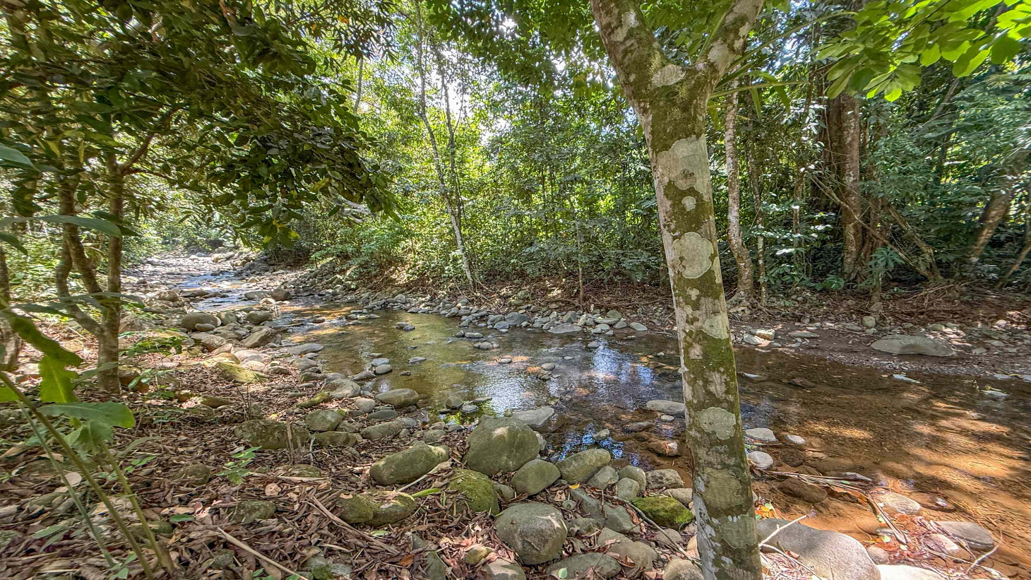 Gorgeous Jungle Hotel with 11 Beds including Owner/Manager Unit, Sparkling Pool & River Setting in Ojochal Costa Rica selected