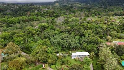 Property for Sale in Ojochal With 2.93 Hectares & Development Potential image 4