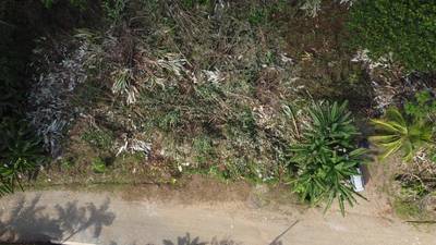 1-Acre Ready-to-Build Jungle Lot in Ojochal – A Private Oasis in Phase 8 image 5