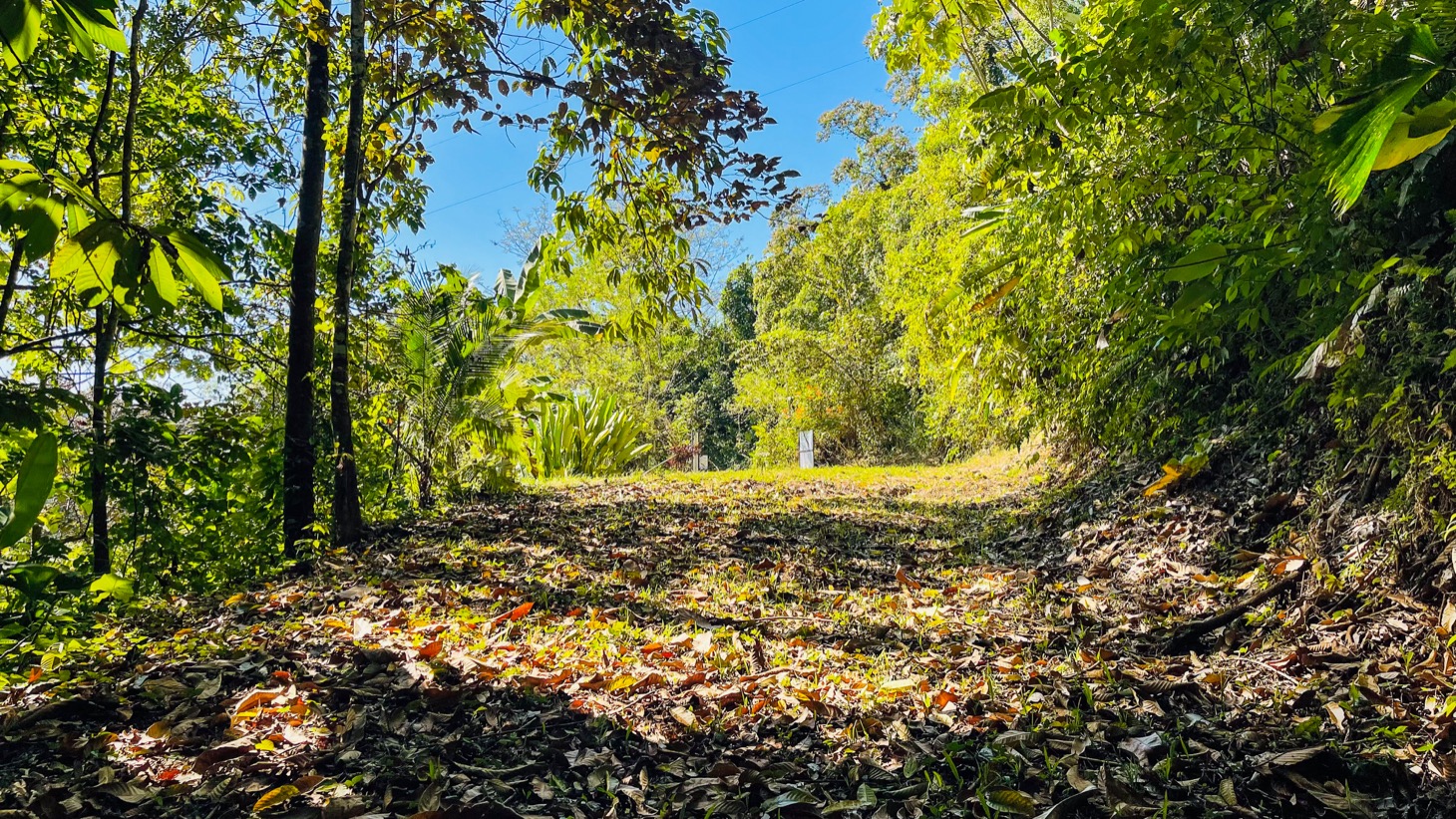 Private Mountain Sanctuary in Costa Rica awaits selected