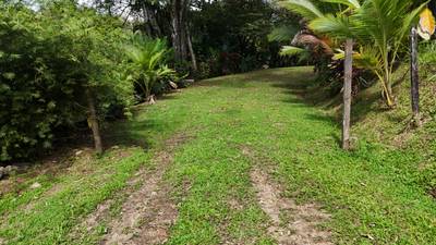 Build-Ready Ojochal Lot with Legal Water, Power & Private Setting image 1