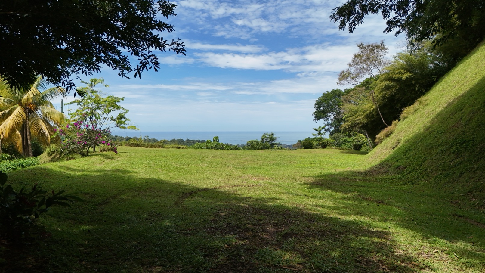 Expansive Oceanview Estate Lot in Uvita selected