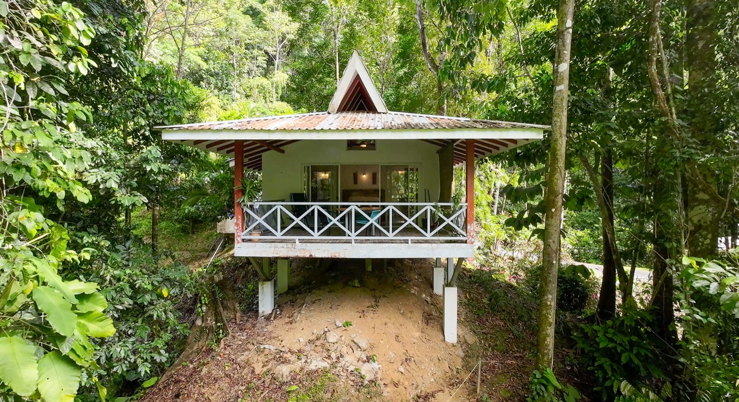 Nature Retreat Estate – Southern Pacific Zone, Costa Rica selected