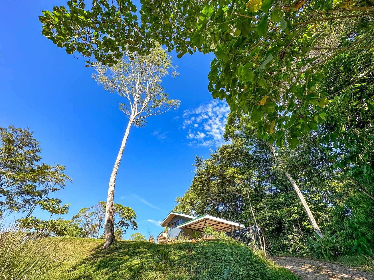 1-Bedroom Jungle River Retreat with Room to Build Your Dream Home in the Heart of Ojochal selected