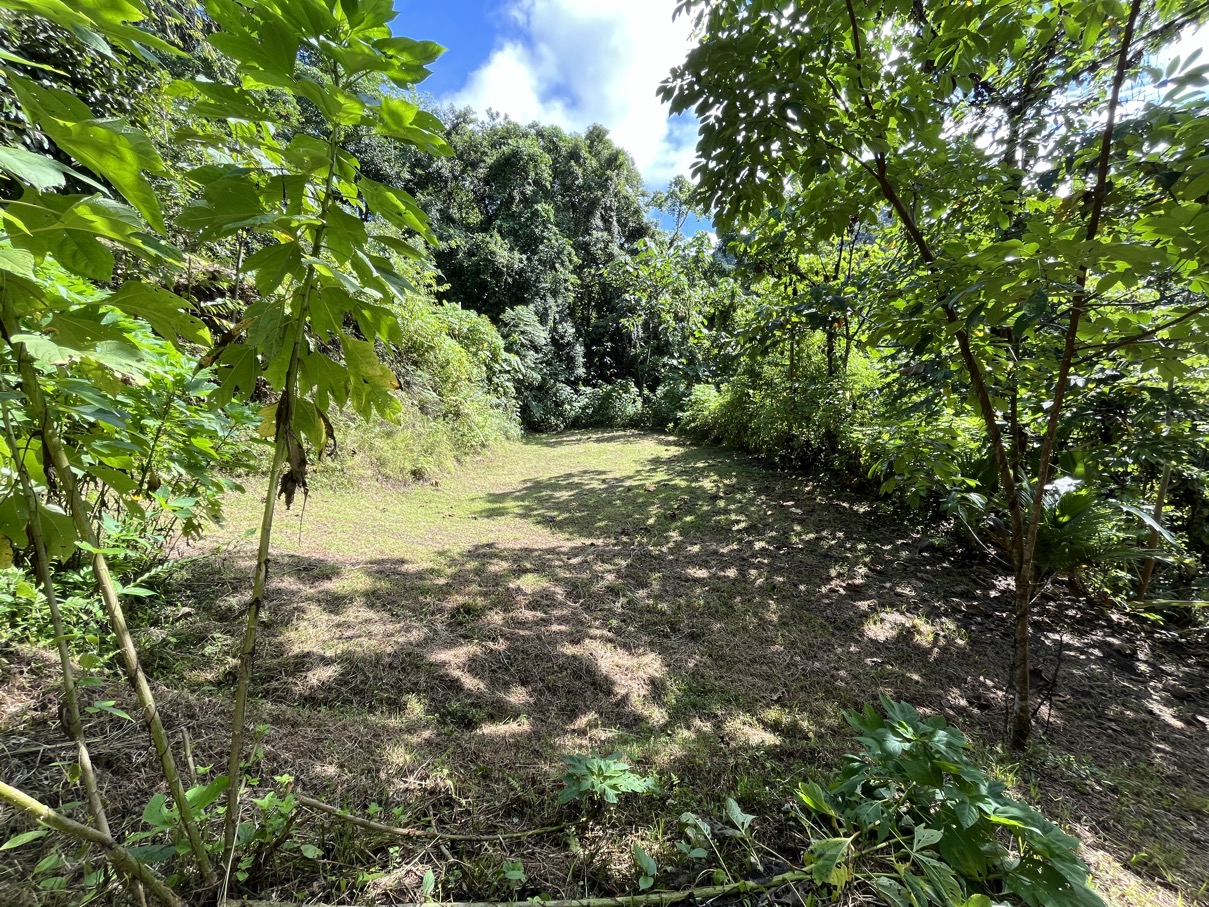 Charming Mountain Retreat in Vergel de Osa – Minutes from Ojochal, Beaches, and Waterfalls selected