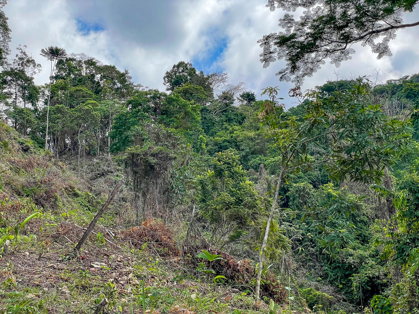 Excellent Dream Home Or Mini-Development Opportunity: 2.2-Acre Ocean View Property in Ojochal, Costa Rica selected