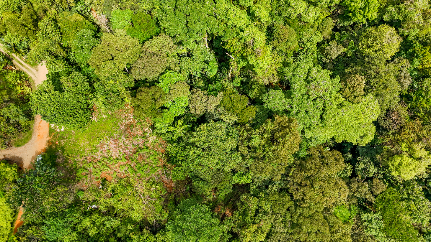 Jungle Lot for Sale in Ojochal With River & Waterfall selected