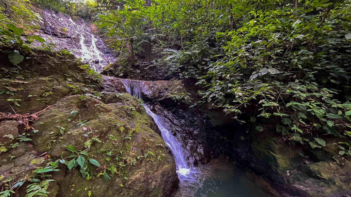 Waterfall Home in Private Community Affordable Jungle Home selected