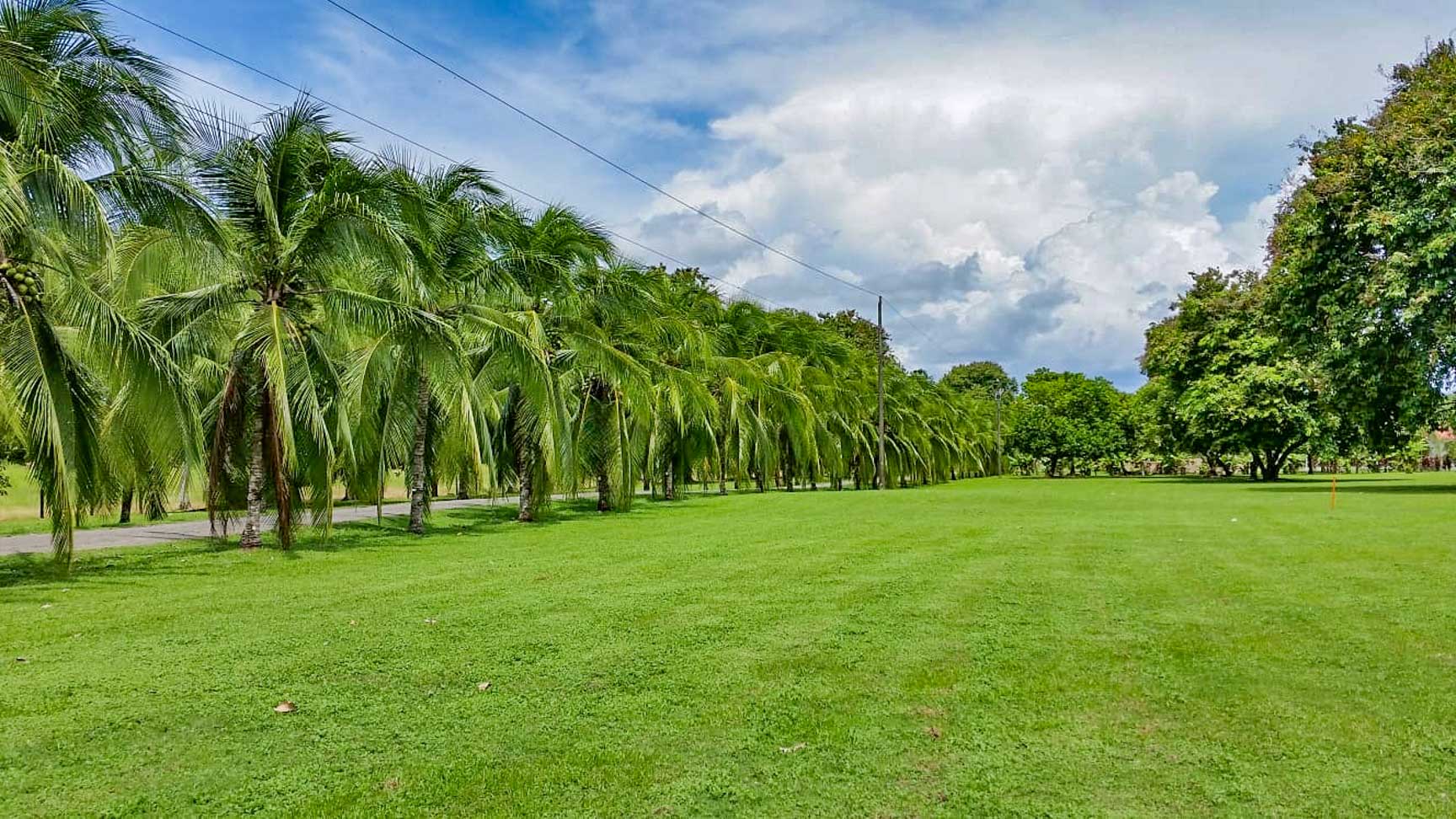 13.4 Acres of Prime Development Land with Direct Airport Access in Palmar Sur selected