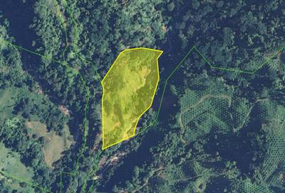 Secluded 4.5-Hectare Riverfront Oasis Near Hatillo & Dominical – Dos Bocas, Costa Rica image 3