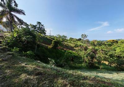Residential Homesite with Flat Building Areas & Prime Access Near Uvita image 3