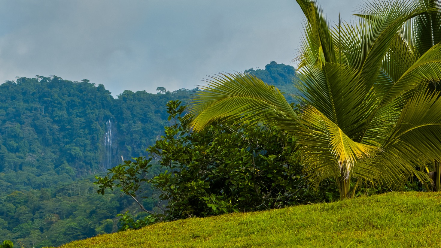 Ocean View Development Property with Waterfall Vista — 14.83 Acres in San Luis de Morete, Near Uvita selected