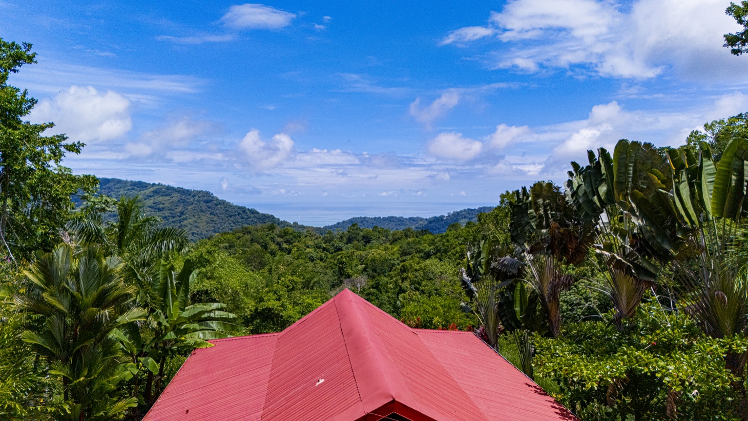 Move-In Ready Ocean View Home Surrounded by Nature selected