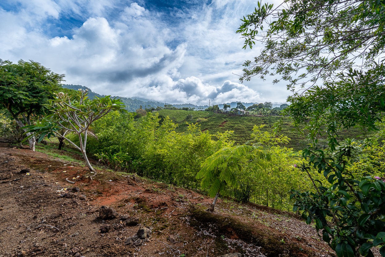 Ocean View Development Property with Waterfall Vista — 14.83 Acres in San Luis de Morete, Near Uvita selected
