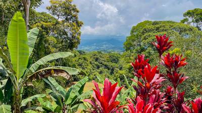 Scenic 2.53 Acres in Fila Cacao Ridge – Build-Ready Lot with Legal Water in Platanillo! image 5