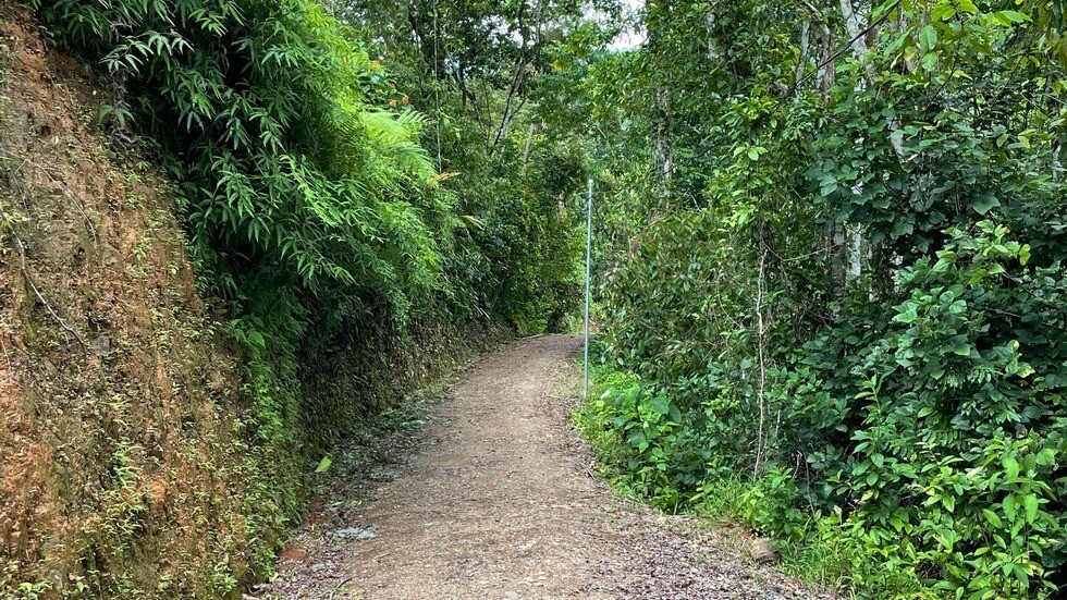 145 Acres With Swimming Holes, Waterfalls And Ocean Views selected