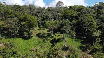 Exclusive 5.80 acres Ocean View Estate Lot in Costa Verde Estates – Escaleras image 4