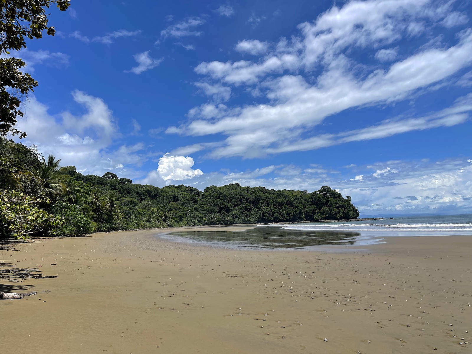 Elan Ground Floor 2-Bedroom Condo with Beach Access selected