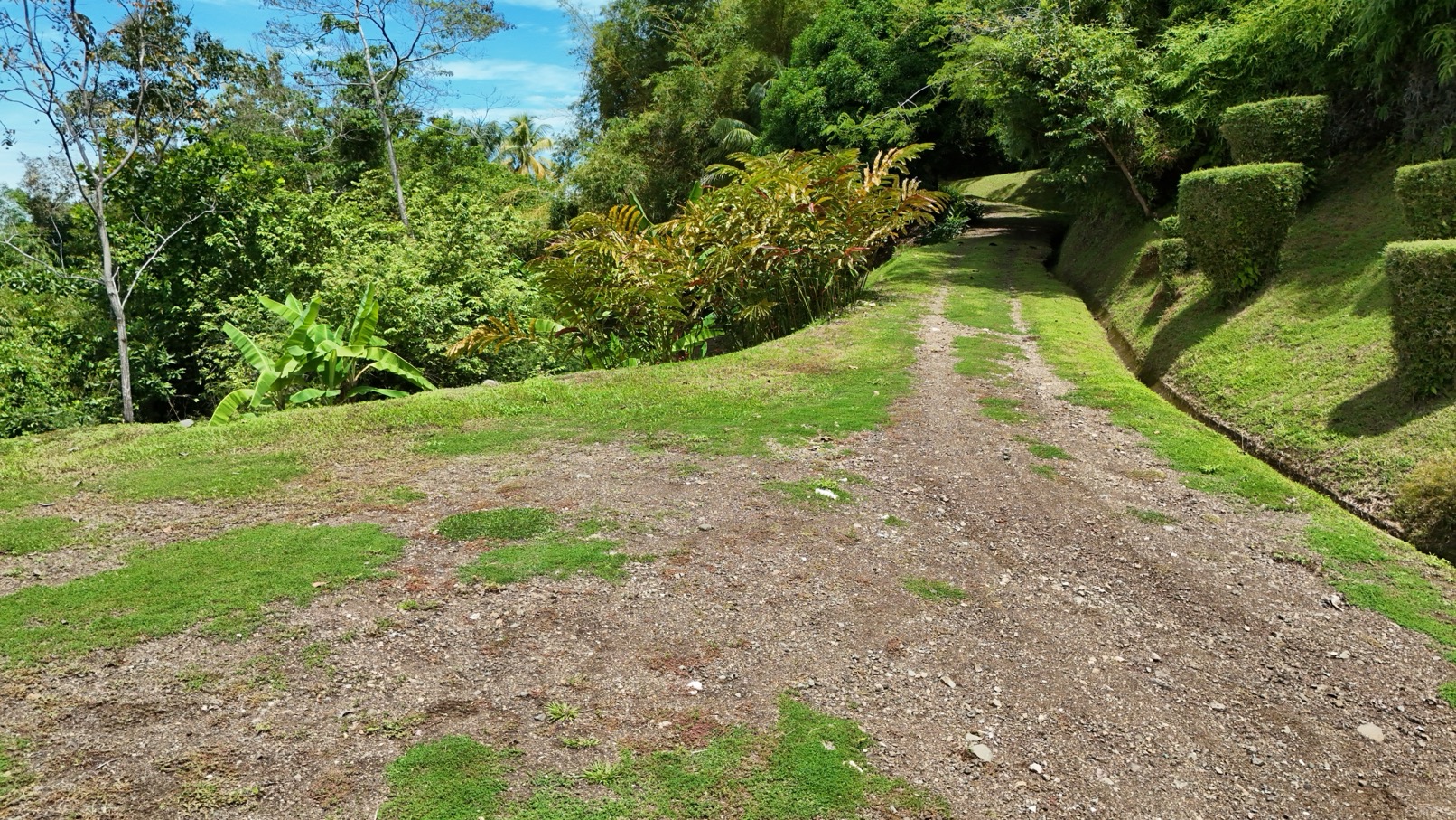 Expansive Oceanview Estate Lot in Uvita selected