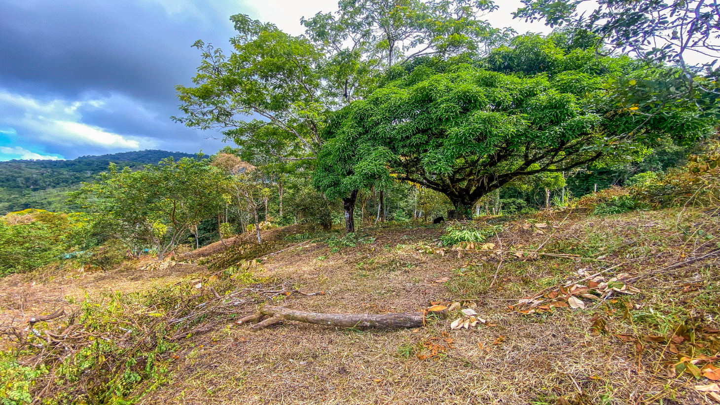 1.5 Acre Ocean & Mountain View Lot Near Uvita | Legal Water & Privacy selected