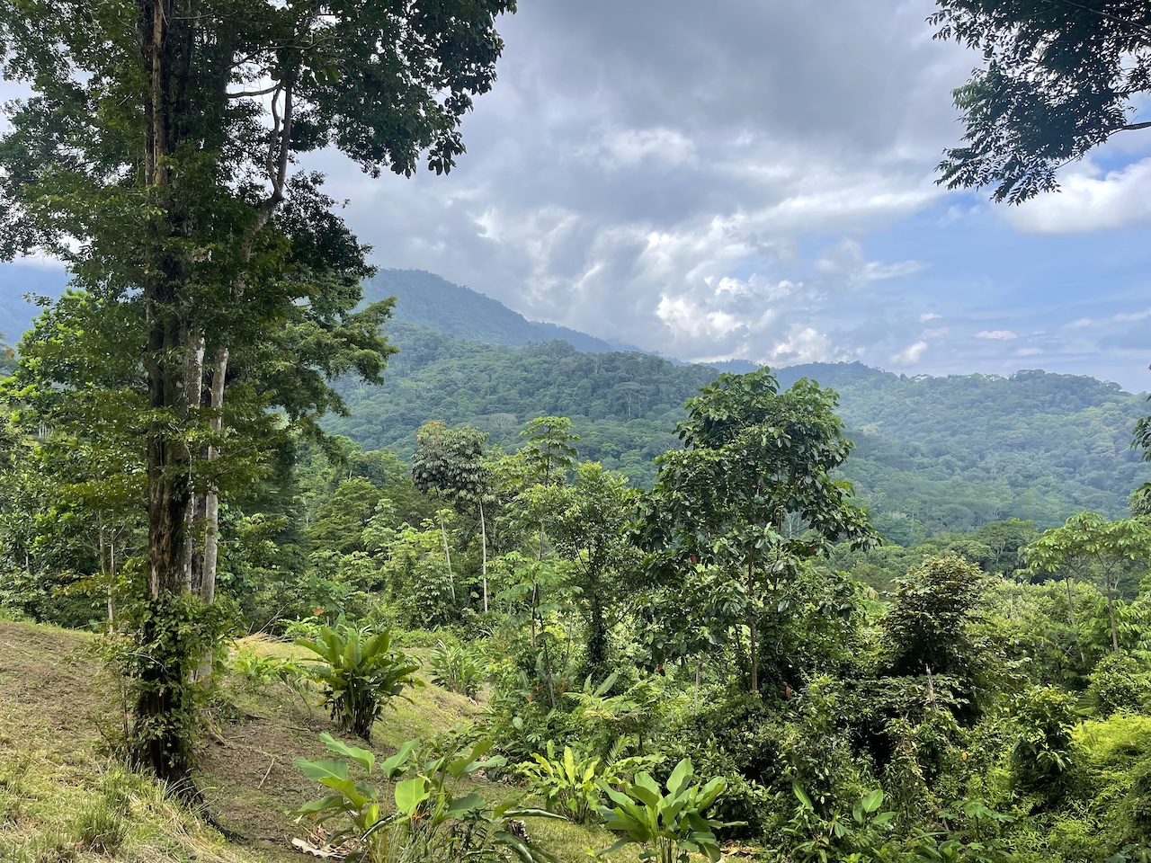 Rare 25+ Acre Opportunity in Uvita selected